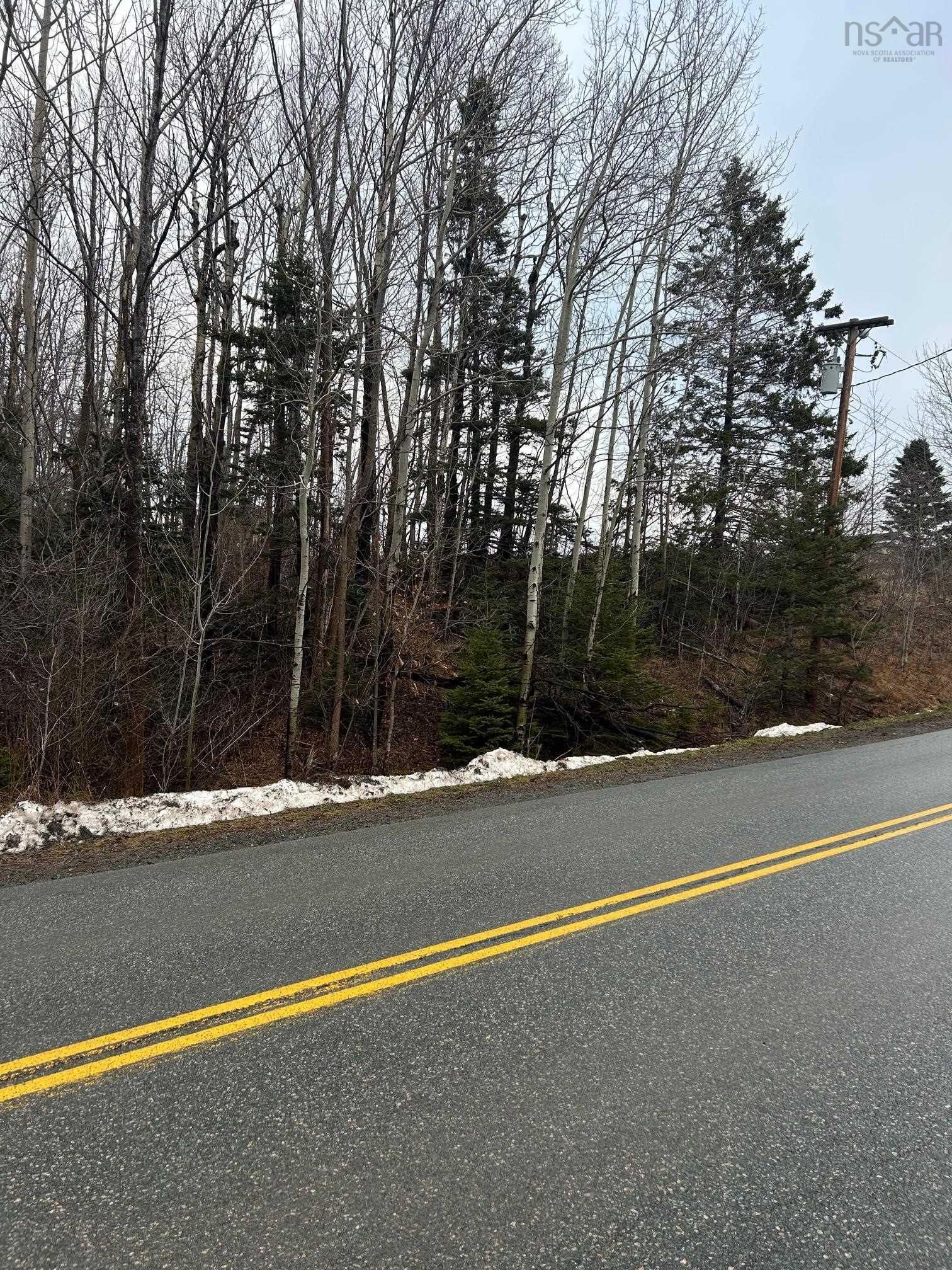 Property Photo:  Lot Beeches Road  NS B0K 1H0 