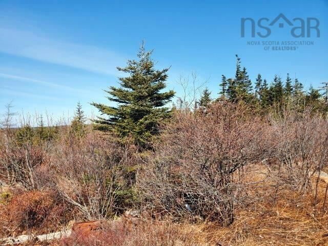 Rockys Road — photo 1