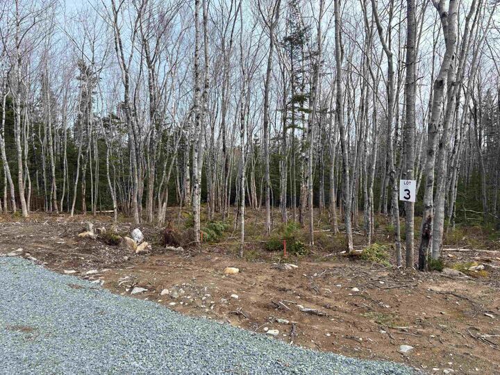 Lot 3 Larry Seldon Lane — photo 1