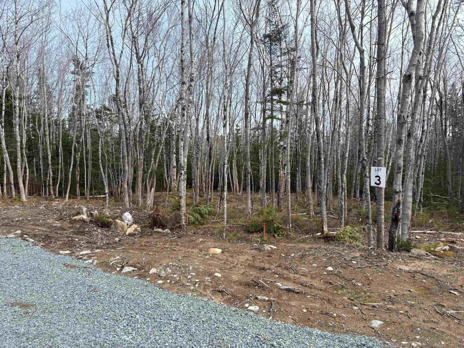 Property Photo:  Lot 3 Larry Seldon Lane  NS B0T 1K0 