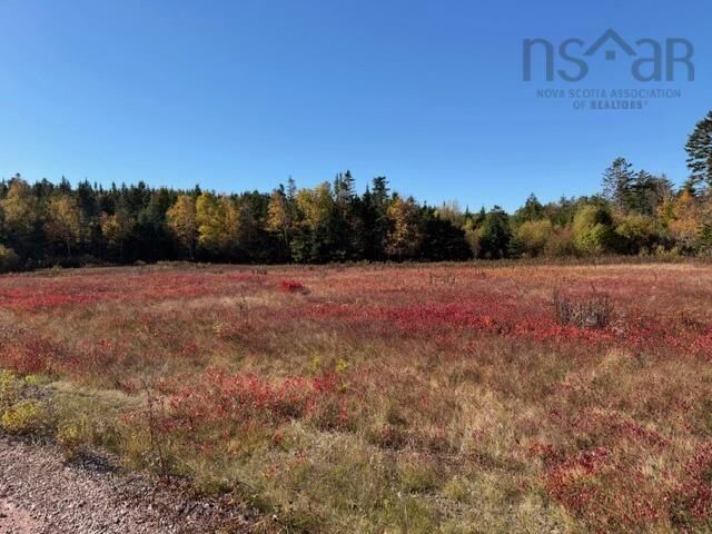 100 Acres Spencers Beach (Hwy 209) Road  Spencers Island NS B0M 1S0 photo