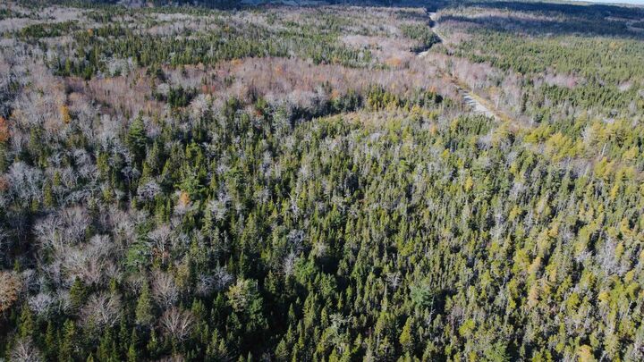Property Photo:  Mountain Road  NS B0E 3B0 