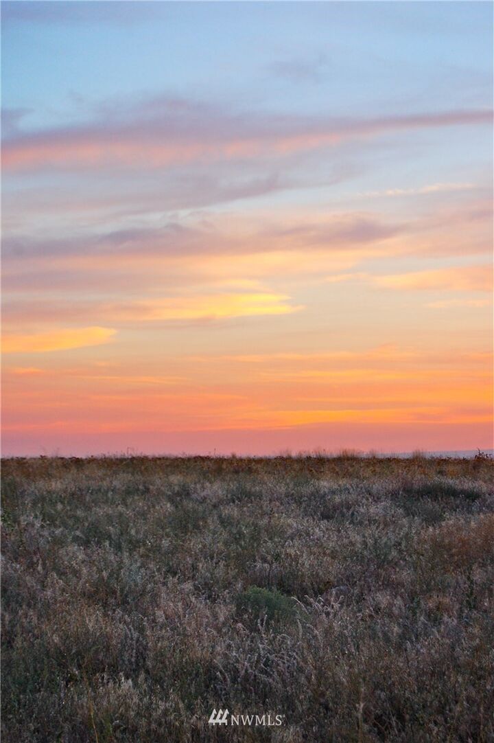 5009  Road 7.3  NE  Moses Lake WA 98837 photo