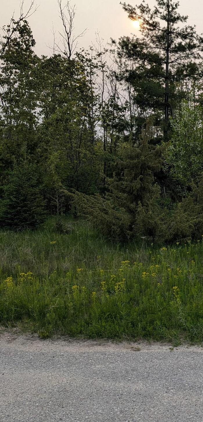 Property Photo:  Lot 8 N E Street  MI 49721 