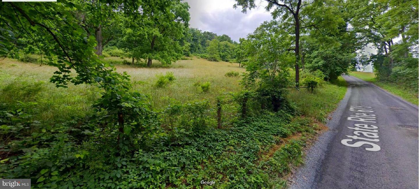 Property Photo:  310 Burnt Church Road  VA 22602 