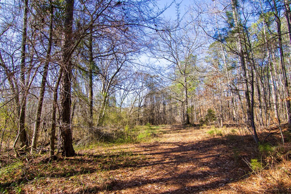 Property Photo:  0 Kings Gap Road  GA 31811 