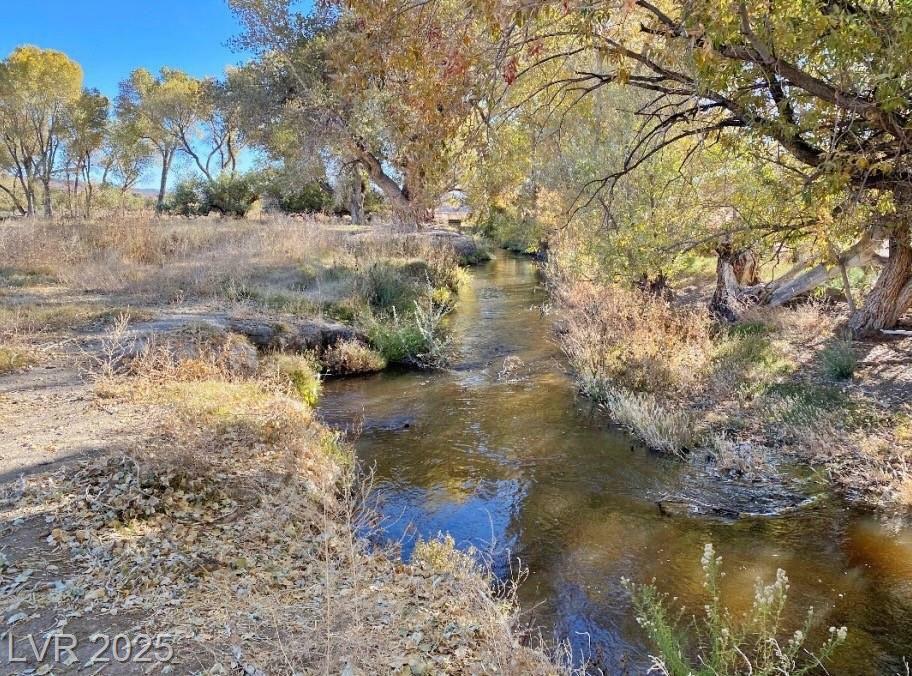 Property Photo: 2100 Buckhorn Road NV 89025