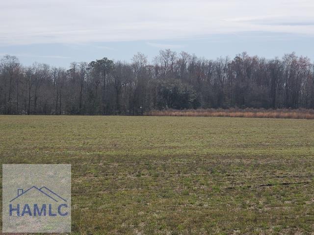 Property Photo: Lot 3 Groover Road GA 31316