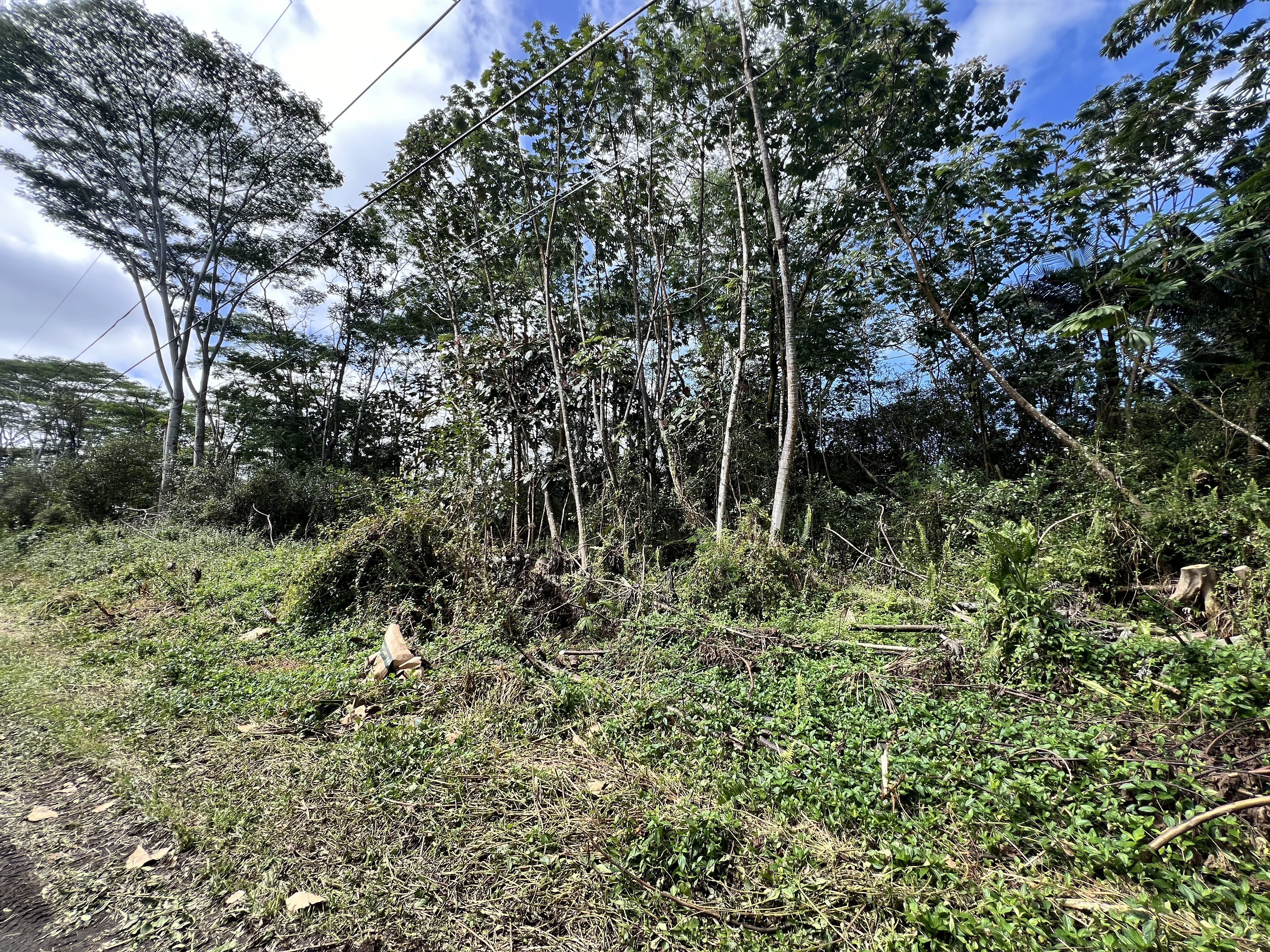 Property Photo:  Mauna Kea Rd  HI 96778 