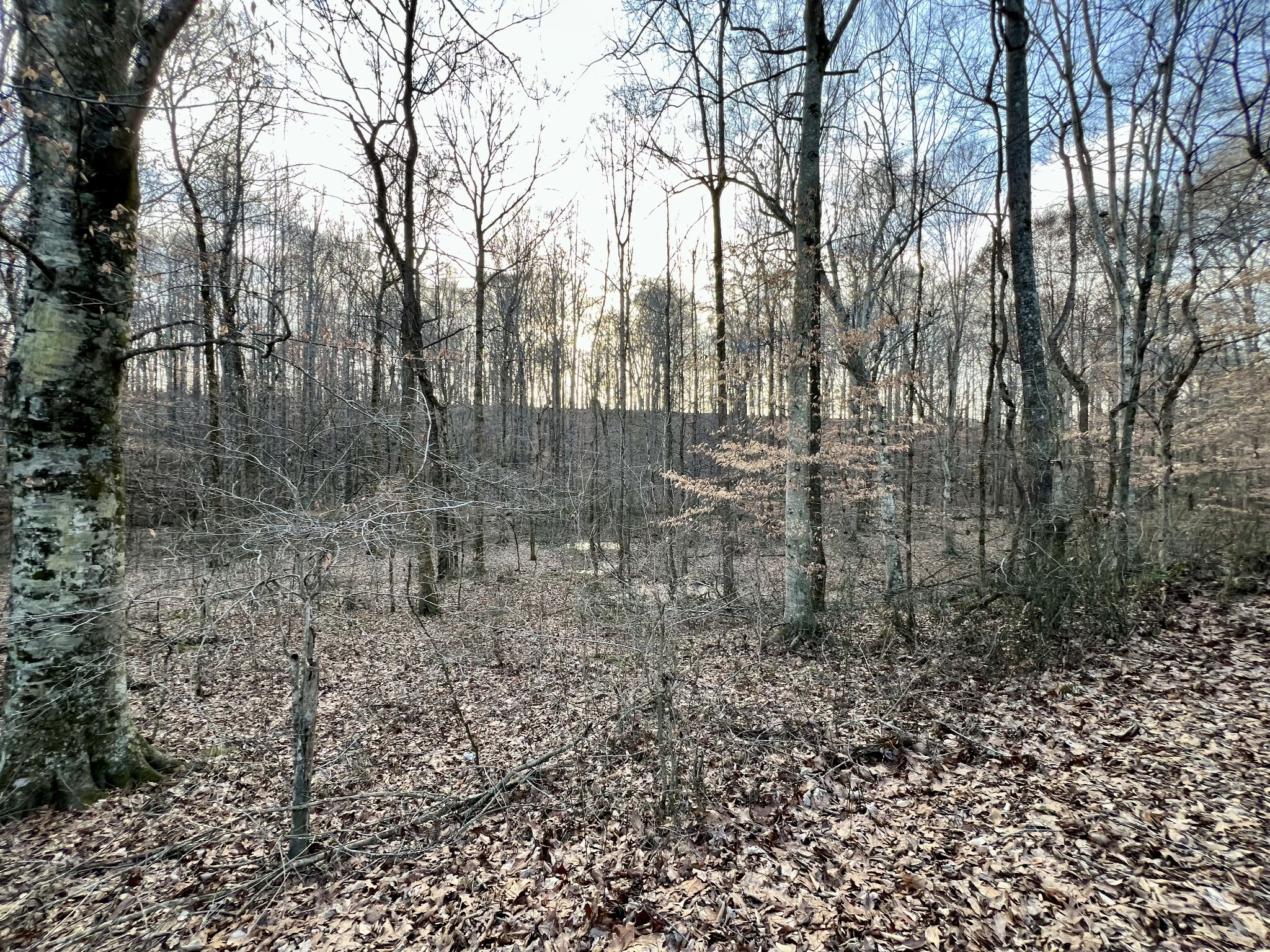 Property Photo:  0 Idaho Rd  TN 38468 