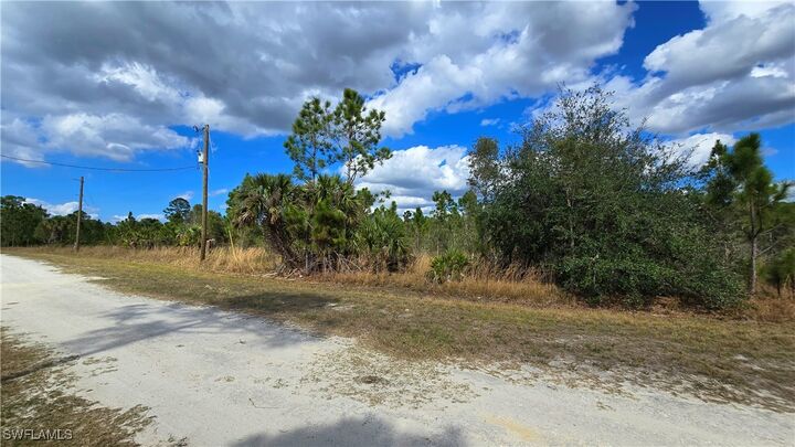 Property Photo:  13516 Carousel Drive  FL 33955 