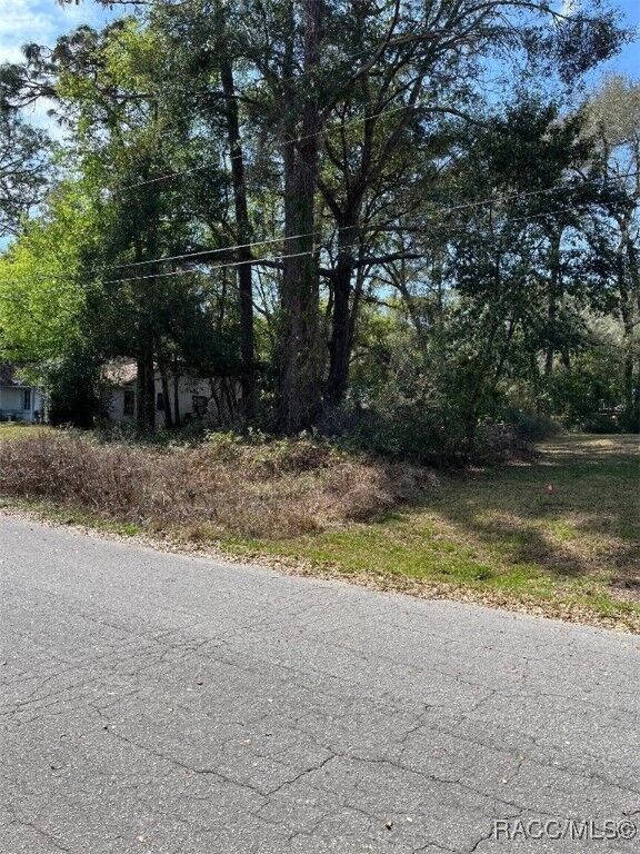 Property Photo:  3900 S Ivanhoe Terrace  FL 34452 