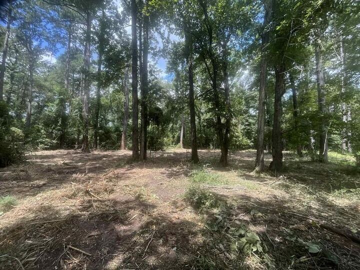 Property Photo:  0 Spring Creek Drive  LA 71360 