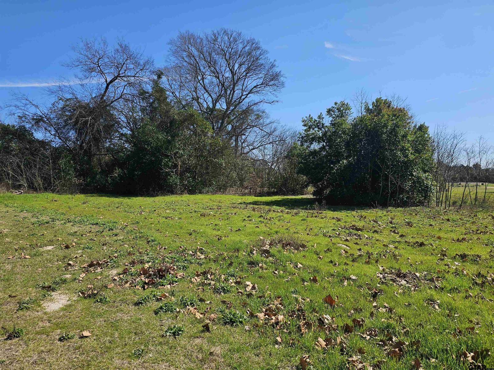 Property Photo:  Tbd Fm 1002 (.58 Acres)  TX 75755 