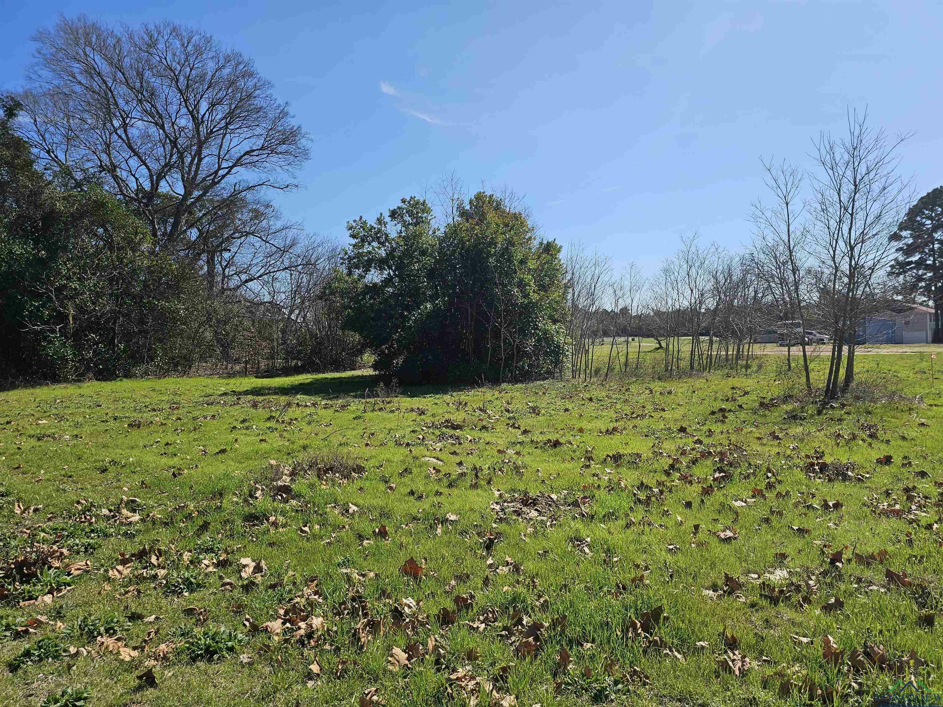 Property Photo:  Tbd Fm 1002 (.58 Acres)  TX 75755 