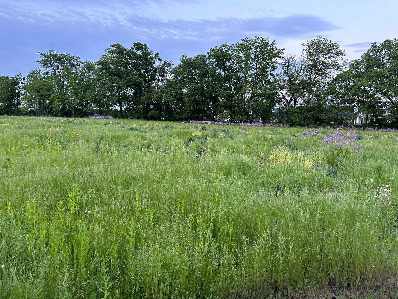 Property Photo:  Lot 83 Meadowwood Drive  WI 53545 