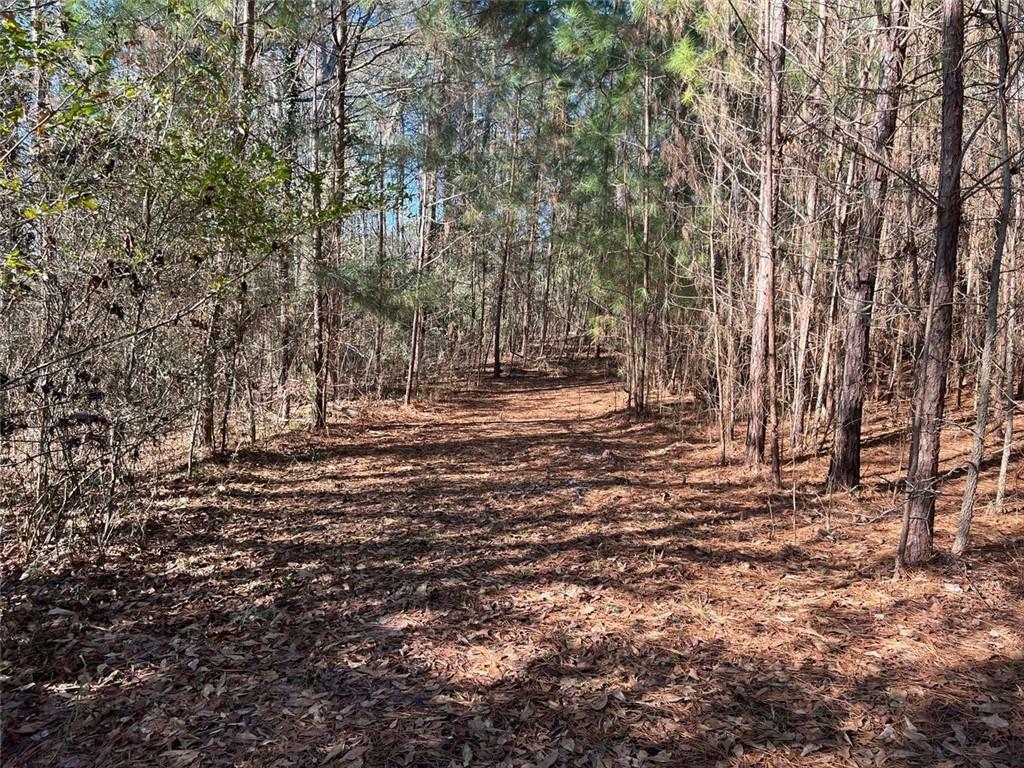 Property Photo:  85 Belk Road  GA 30263 