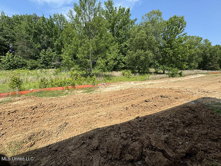 Property Photo: 4229 W Olivia Circle MS 38654