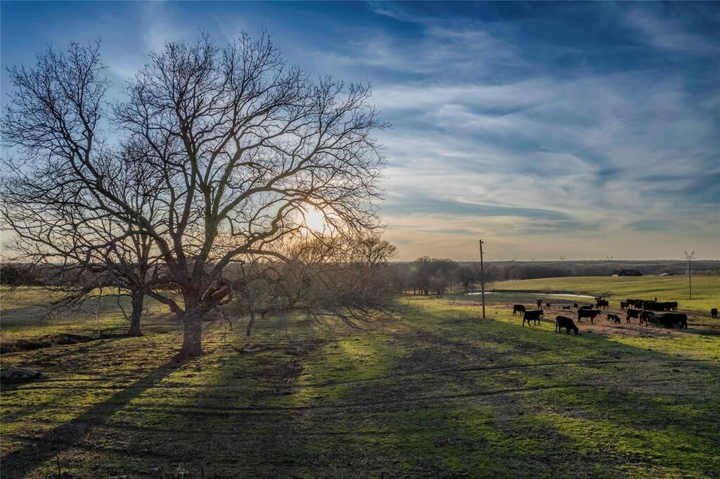 Property Photo:  14867 Farm To Market 274  TX 75476 