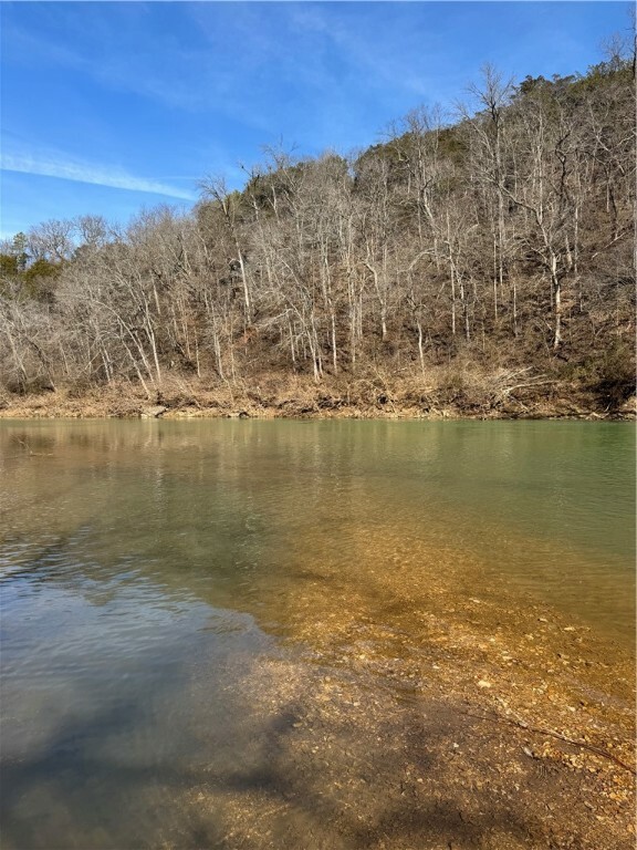 Property Photo:  100 River Run Road  AR 72632 
