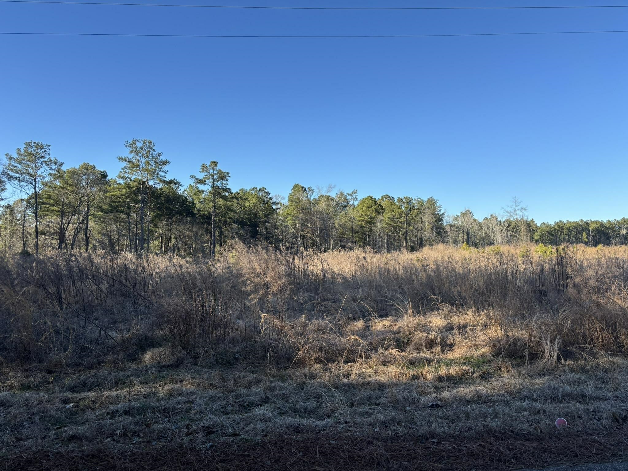 Property Photo: 16.84 Acres N Cannon And 1st Street AR 71764
