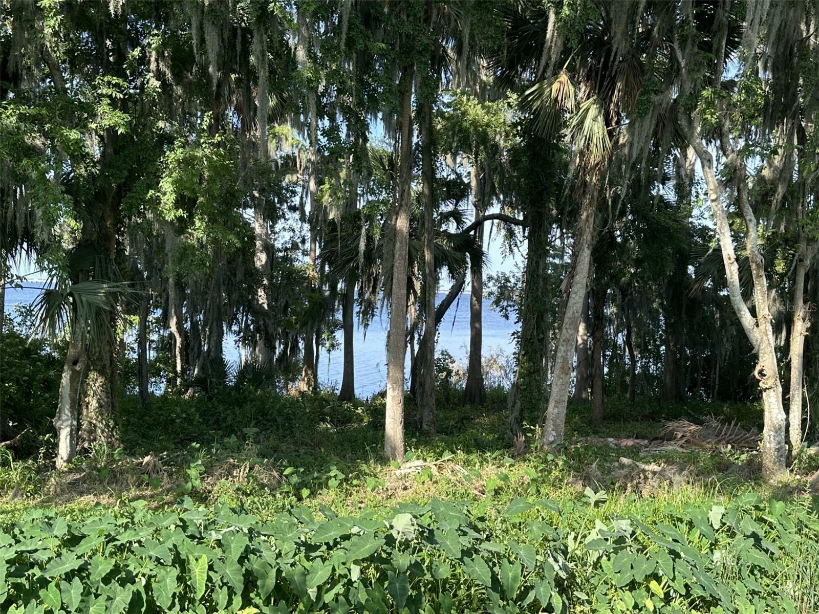 Property Photo: 210 Torcaso Court FL 32708