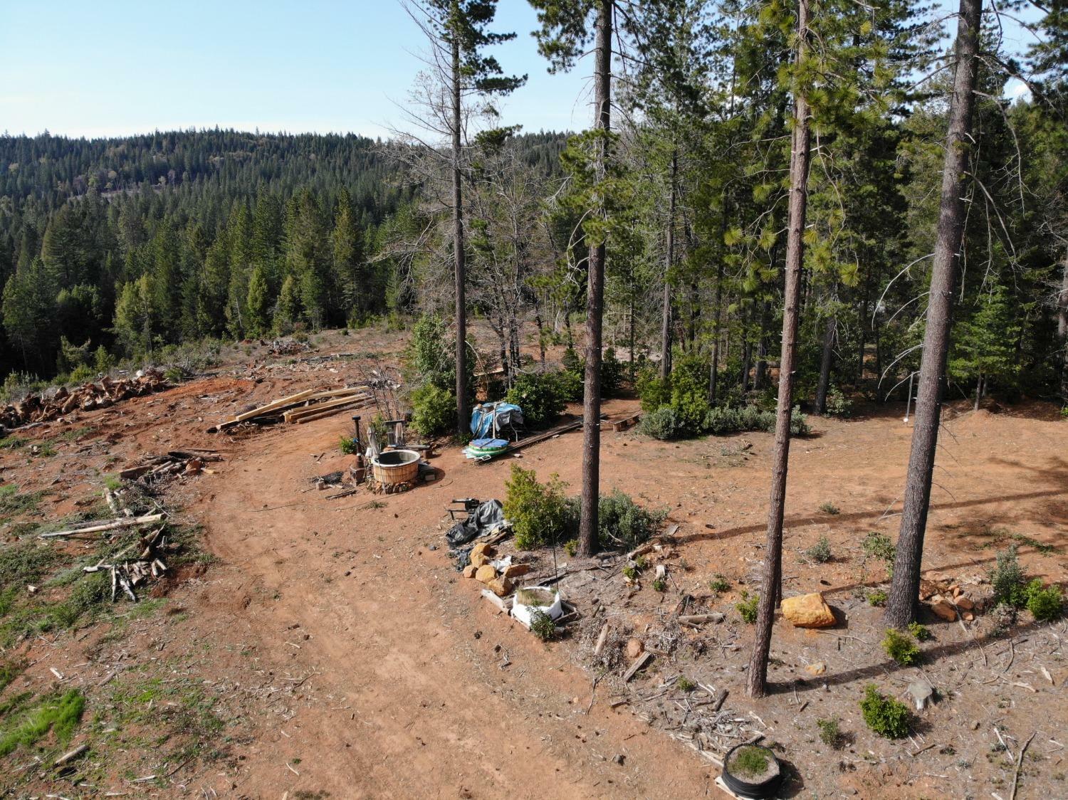 Property Photo:  17962 State Highway 49  CA 95922 