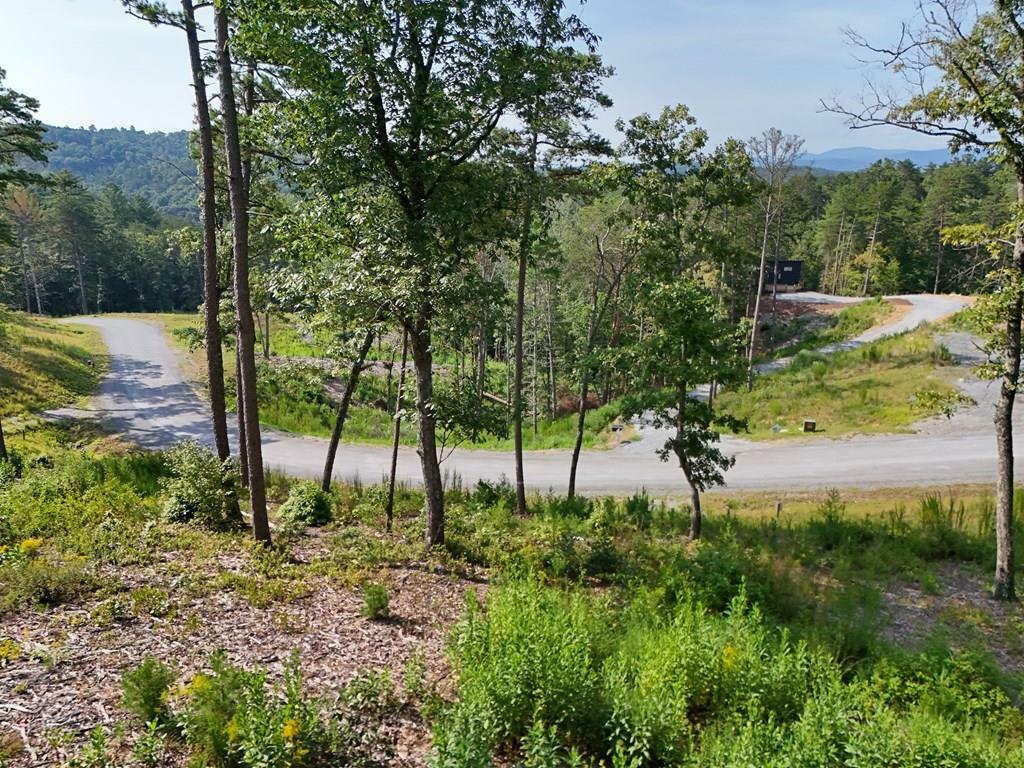 Property Photo: Lot 3 Mountain Laurel Ridge GA 30559