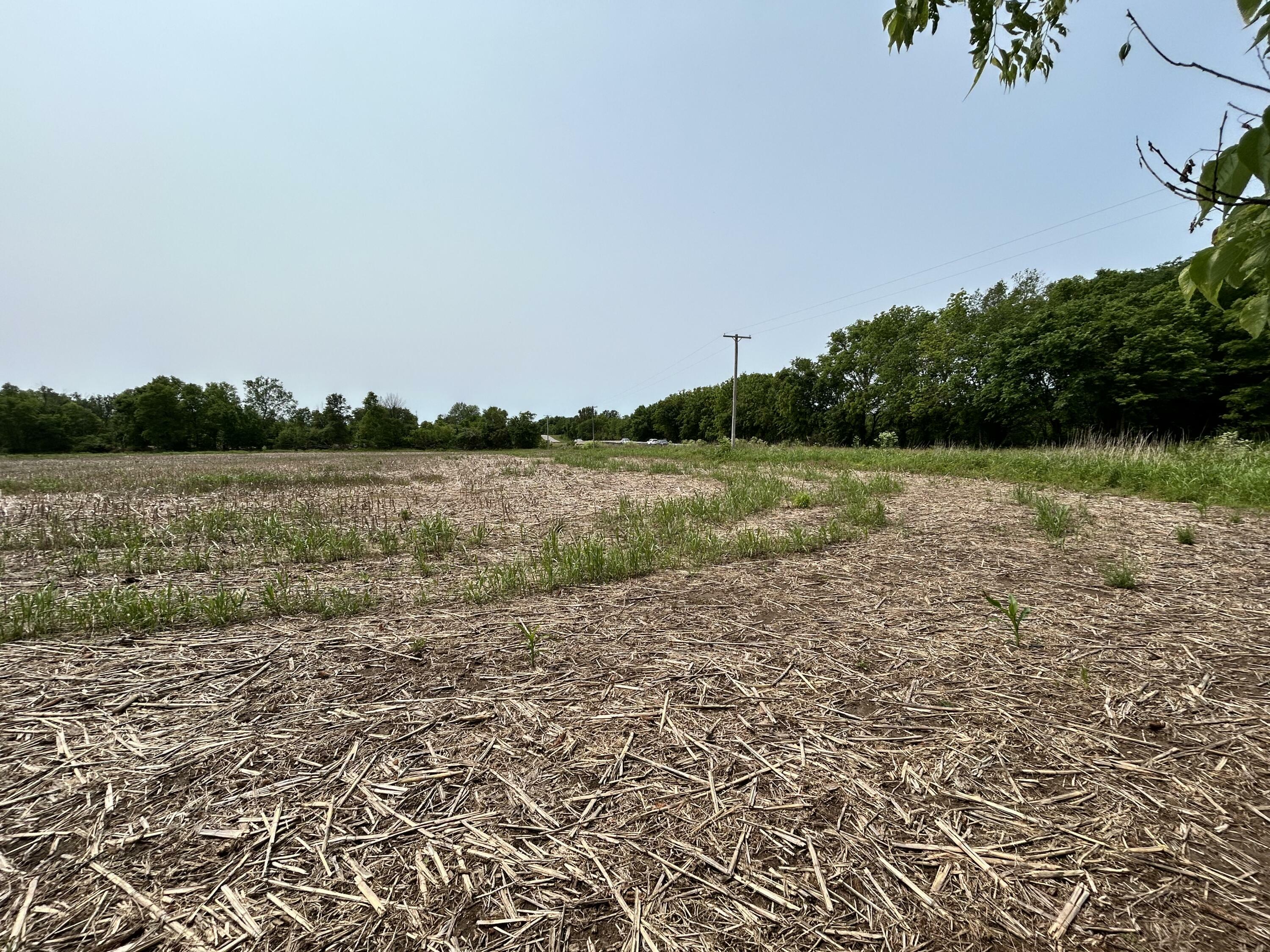 Property Photo:  Lot 1 S State Highway T  MO 65802 