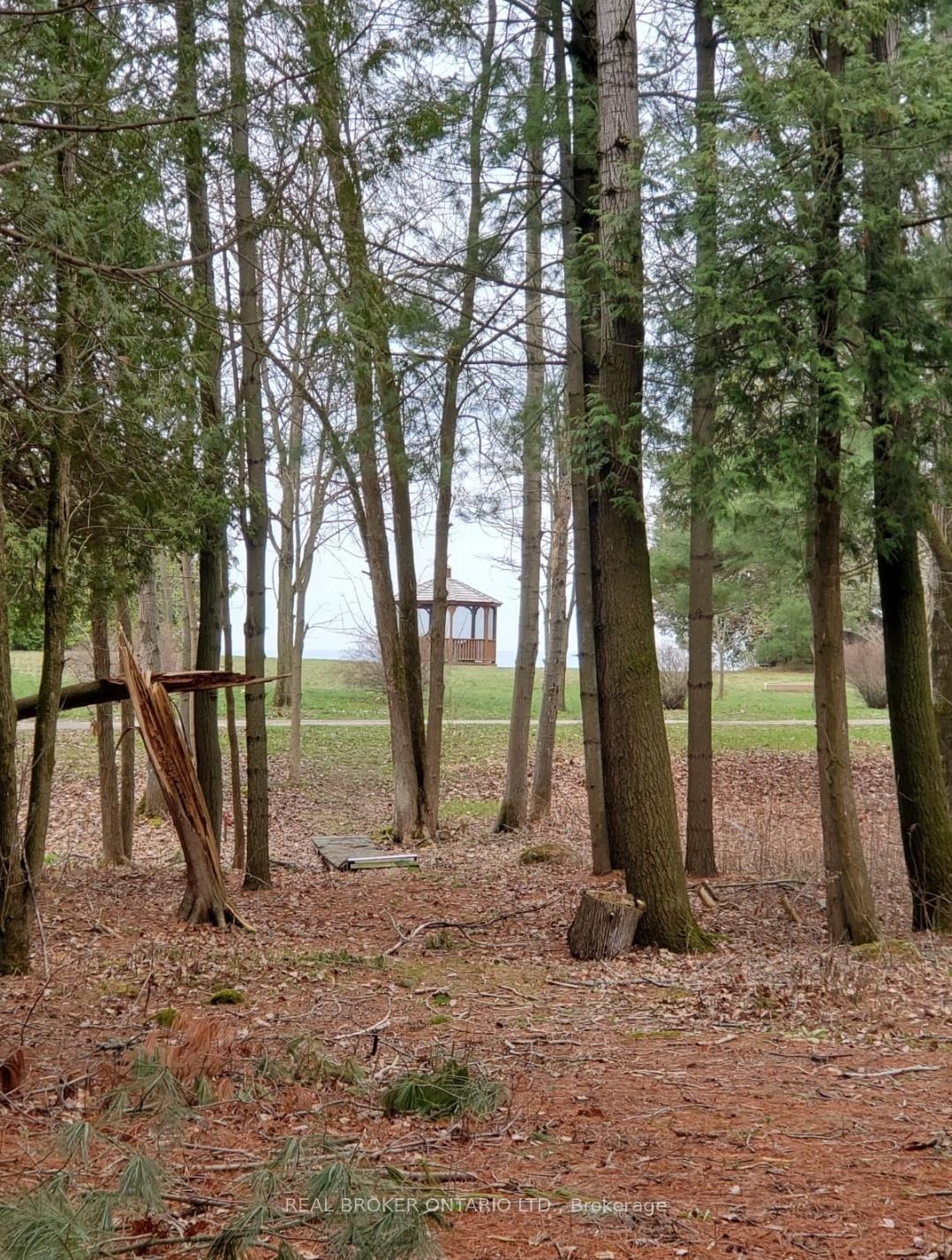 Property Photo:  20 Durham St S  ON K0K 1S0 