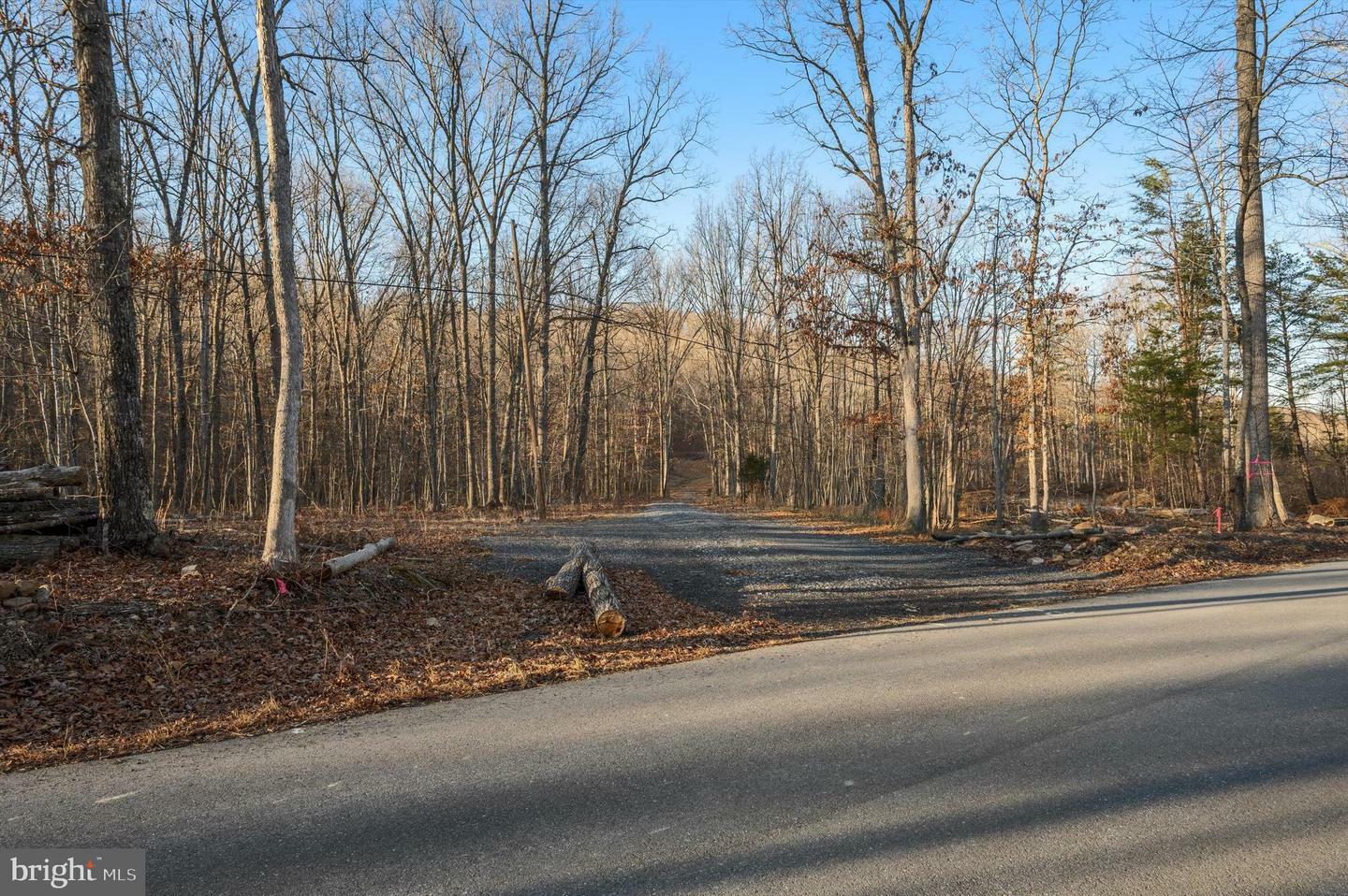 Property Photo:  Lot 2 Back Creek Rd  VA 22637 