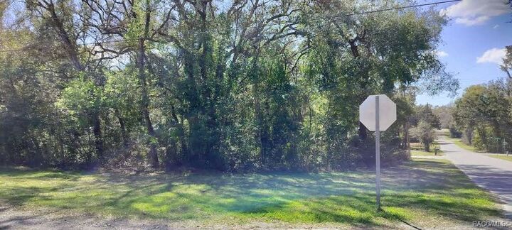 Property Photo: 517 S Savary Avenue FL 34453