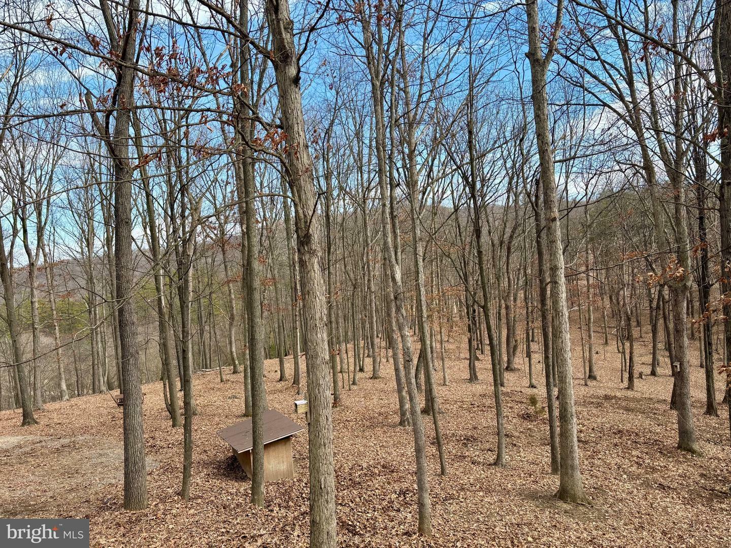 Property Photo:  851 S Champwood Lane  WV 26726 