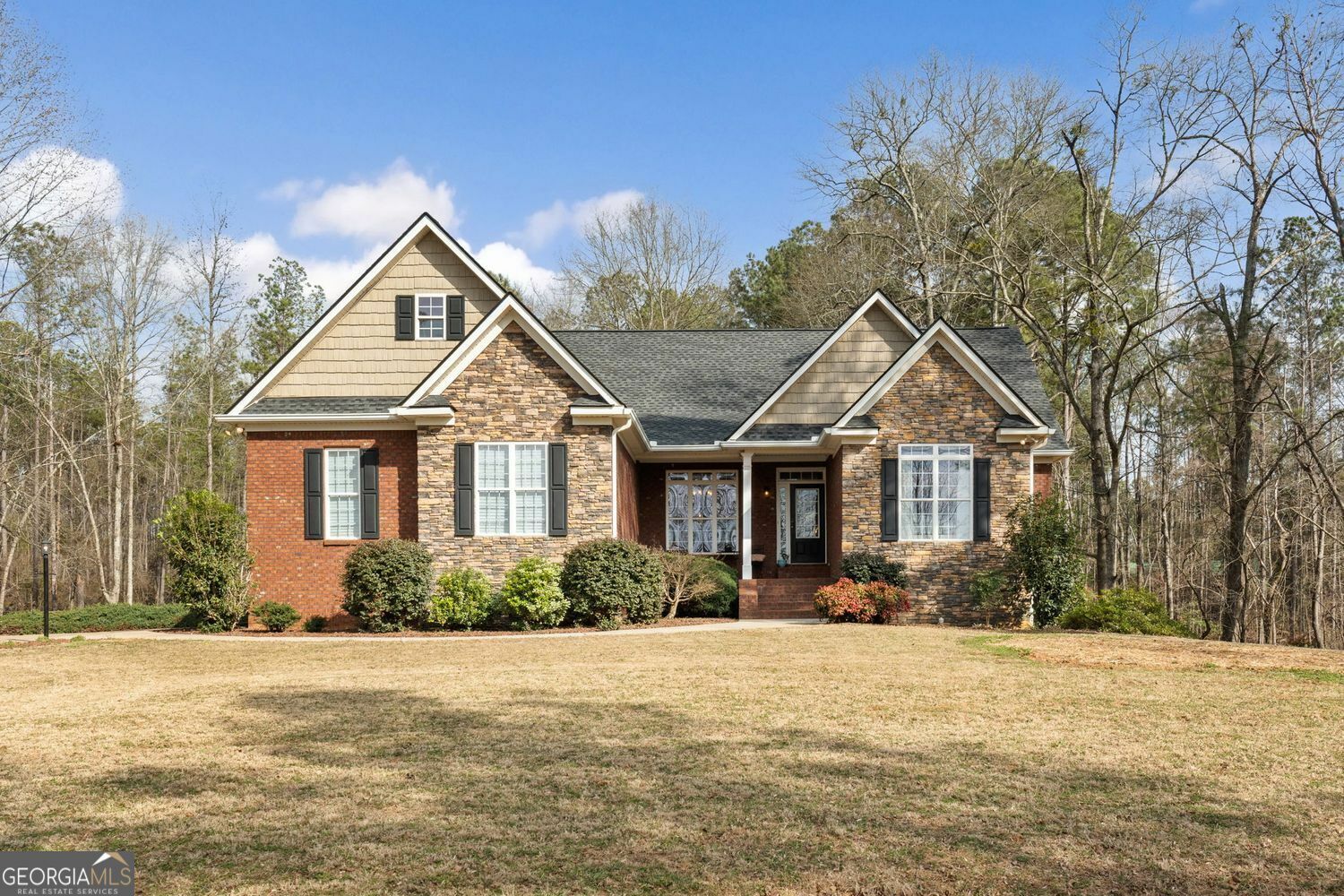 Property Photo:  172 Sam Solomon Road  GA 30248 