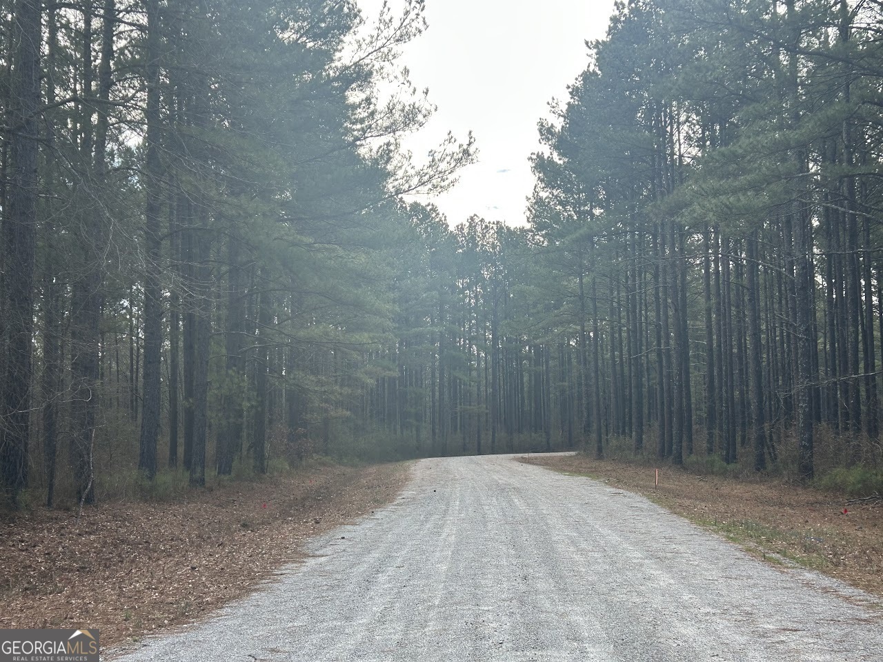 Property Photo: 181 Riversong Road GA 30117