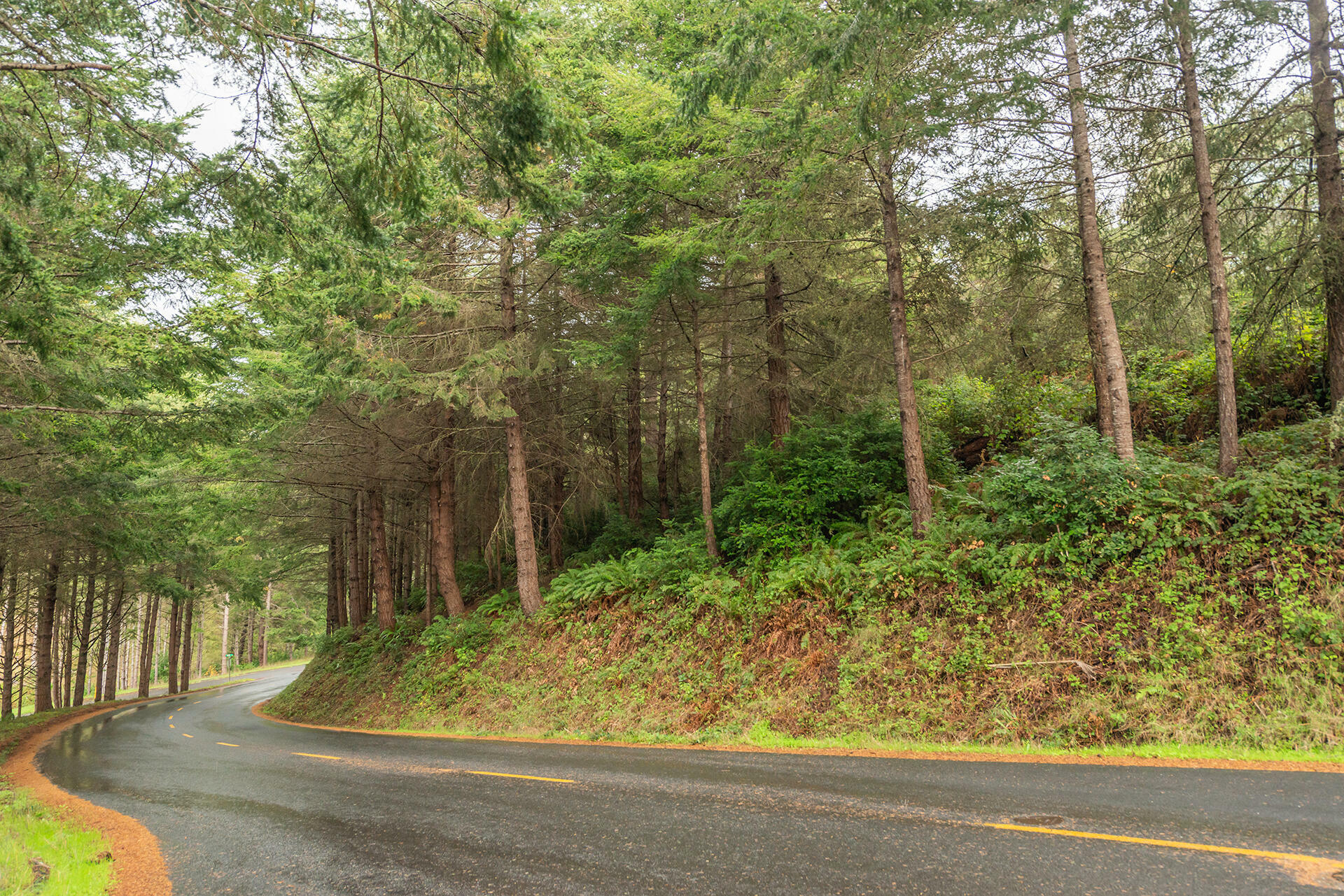 Property Photo: 710 Upper Pacific Drive CA 95589