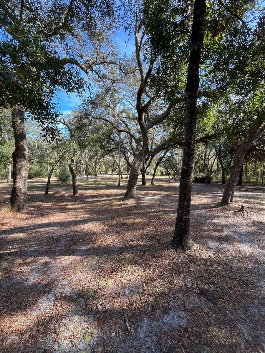 Property Photo: 16347 Albright Road FL 34610