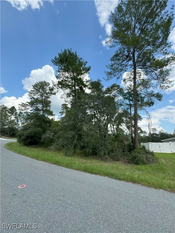 Property Photo:  Xxx SW 167th Loop  FL 34473 