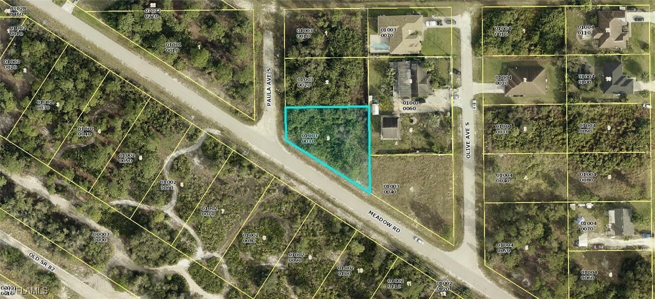 Property Photo:  4705 Paula Avenue S  FL 33976 