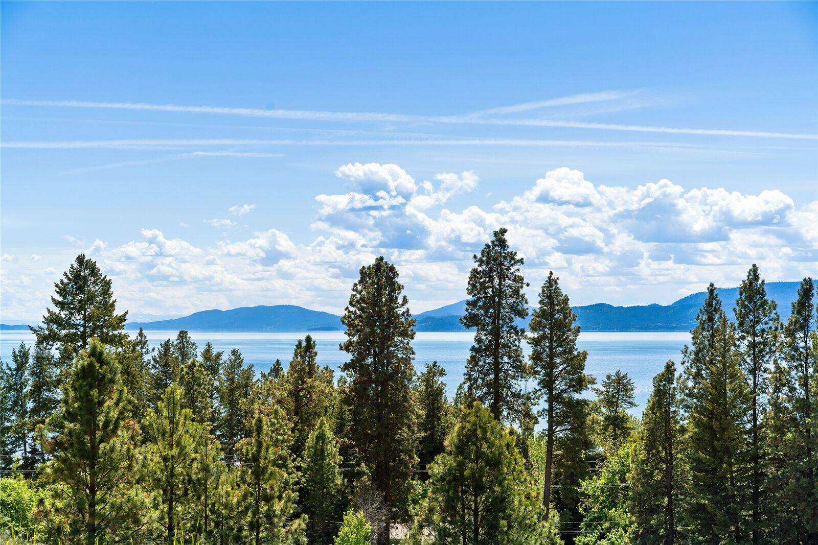 Property Photo: 130 S Crestview Terrace MT 59911