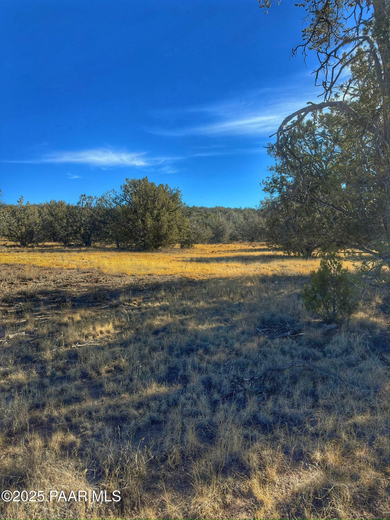 Property Photo: 01 N Boulder Ridge AZ 86337
