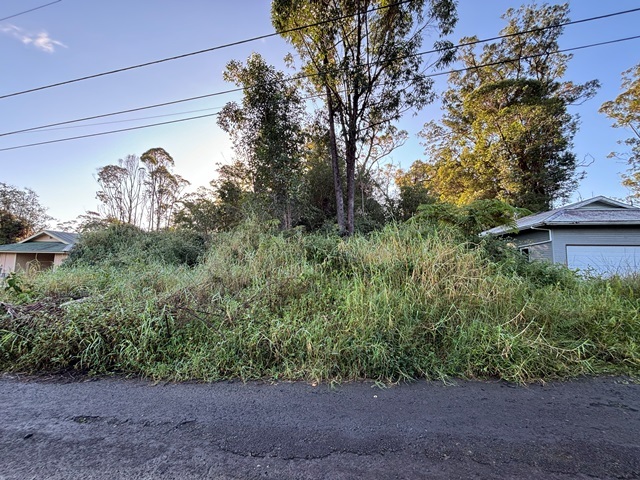 Property Photo:  Hohiu St  HI 96785 