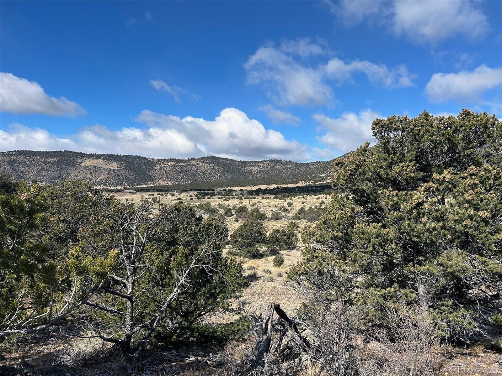 Property Photo:  County Road 43bb  CO 81149 