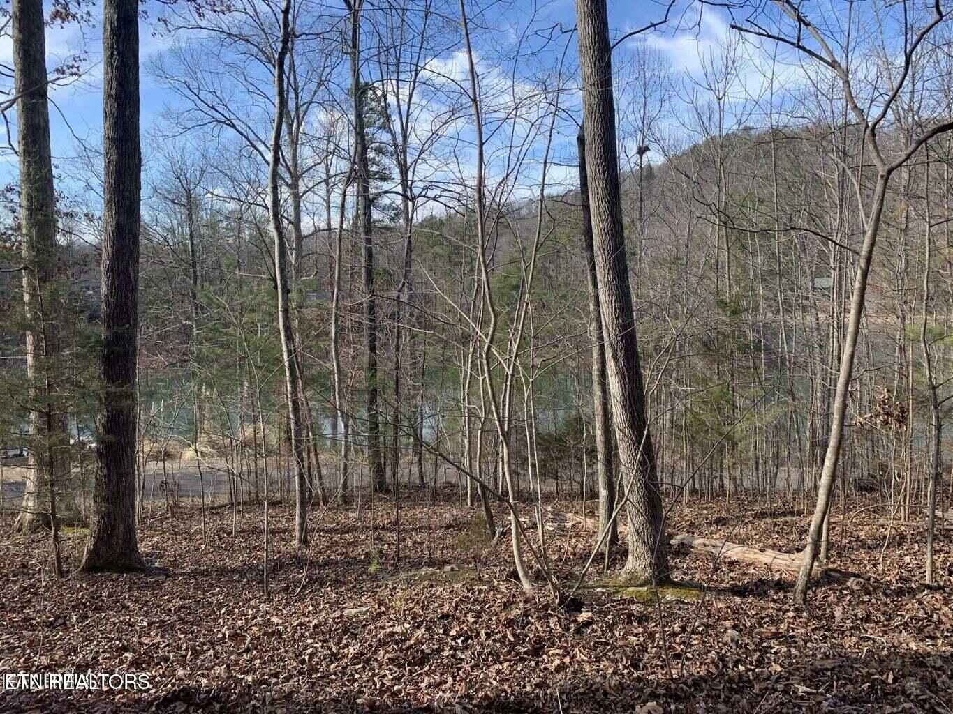 Property Photo:  Lot 170 Laurel Lake Circle Circle  TN 37354 