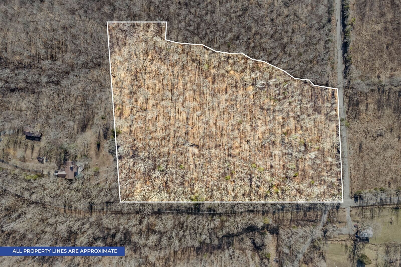 Property Photo: 0 Bumpus Mills Rd TN 37058