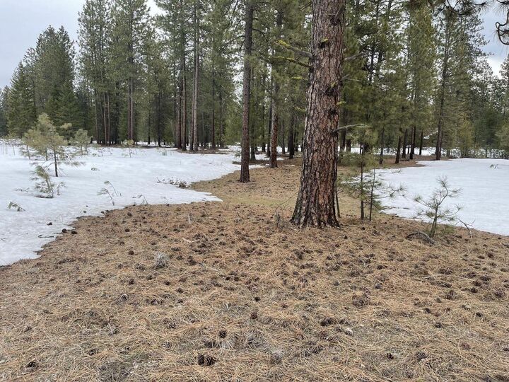 4xx Couples Ct  Chewelah WA 99109 photo