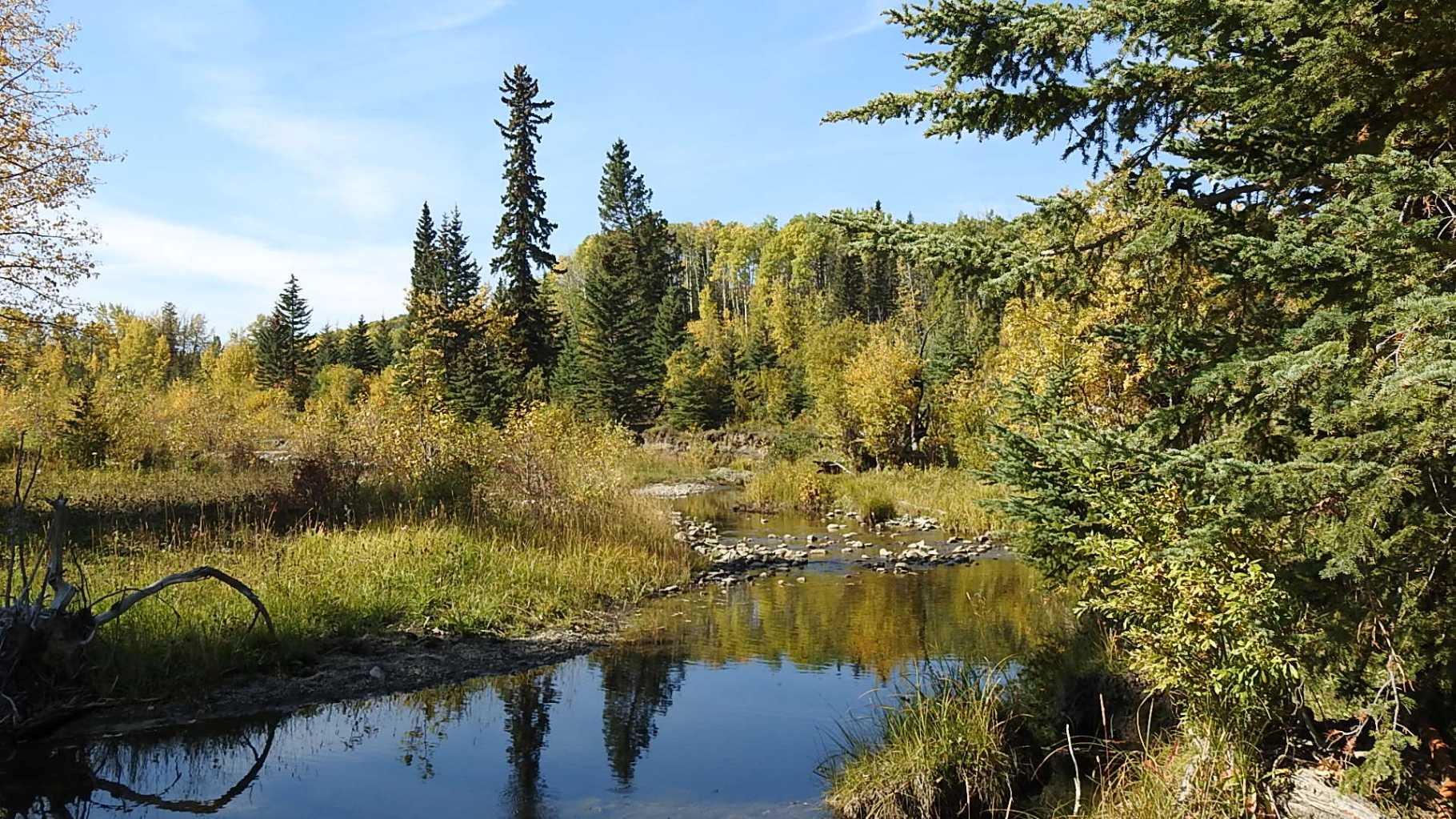 Property Photo: 108 Acres Bordering Kananaskis AB T0L 1K0