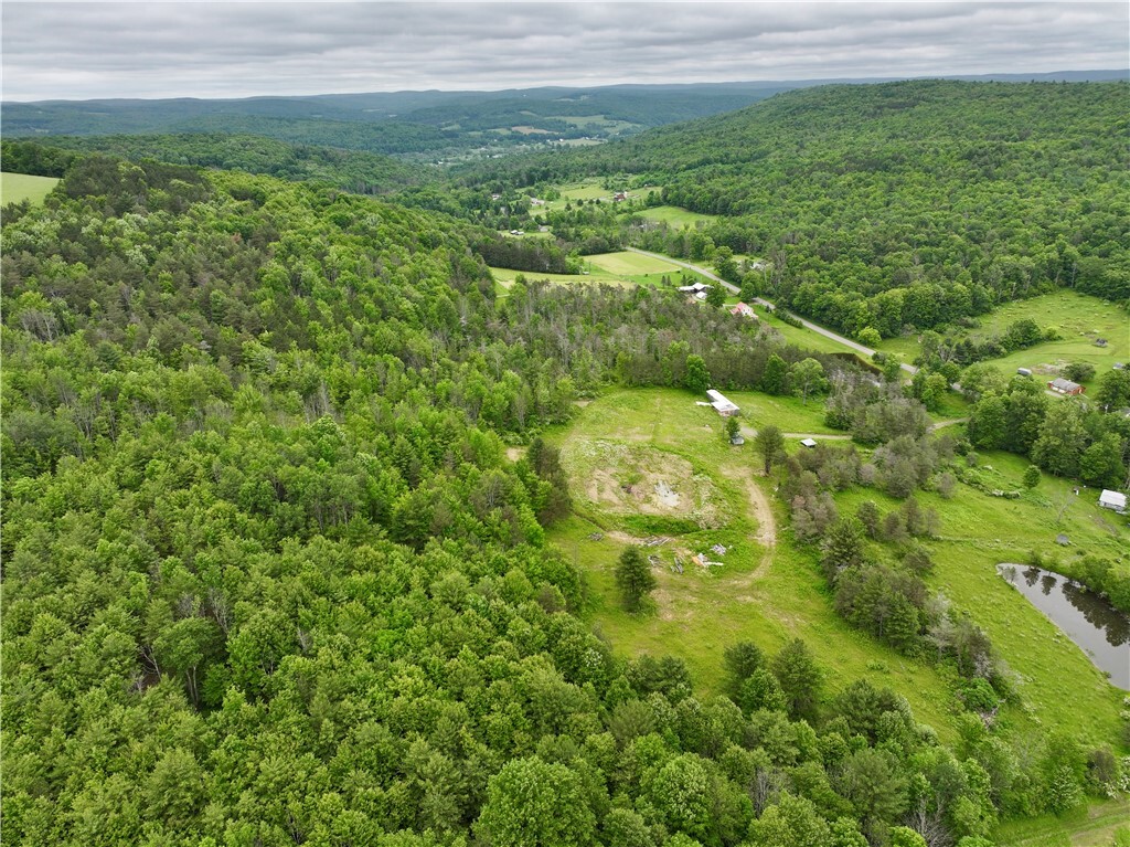 Property Photo: 320 Owl Creek Rd NY 14883