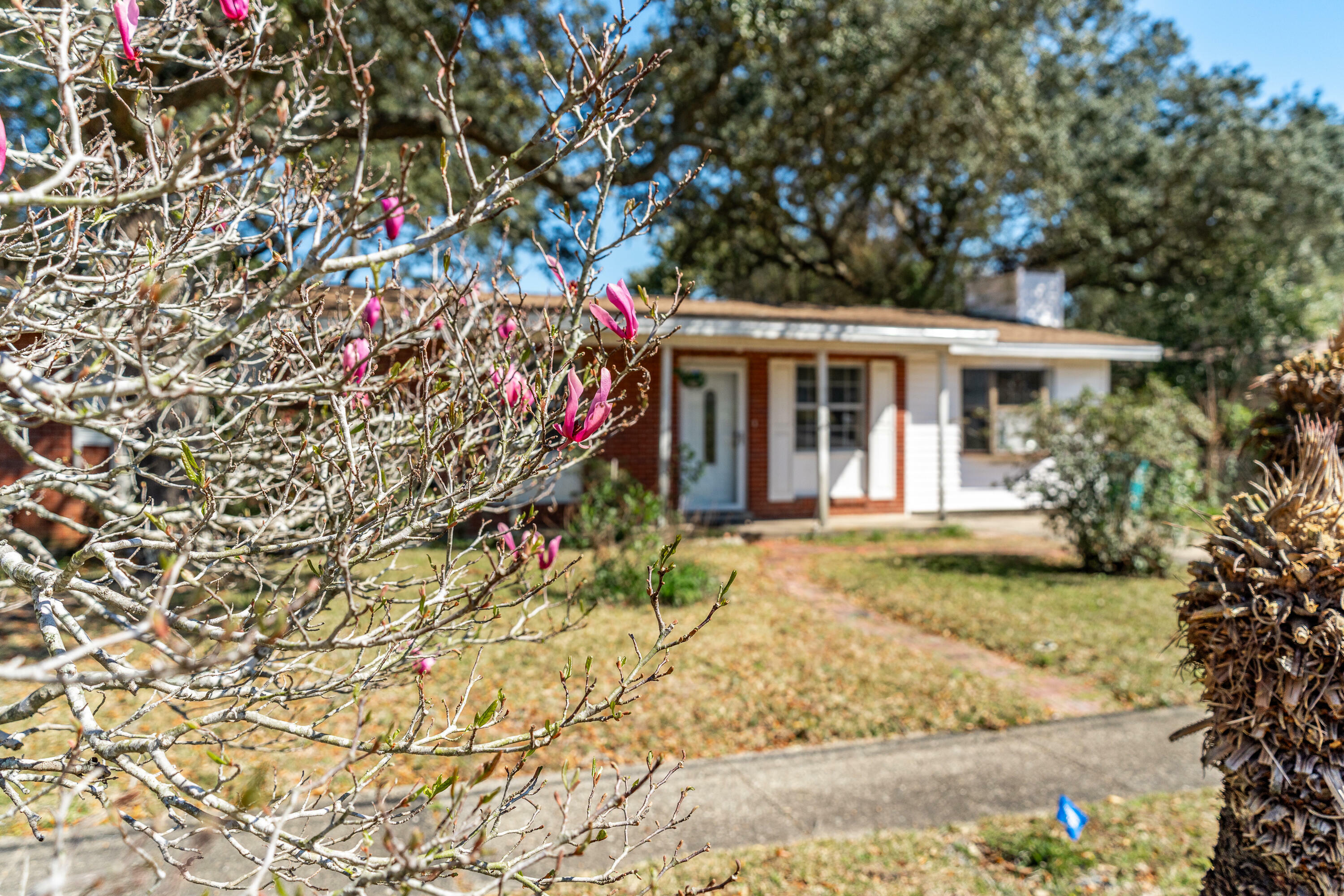 Property Photo:  509 Winthrop St  FL 32547 