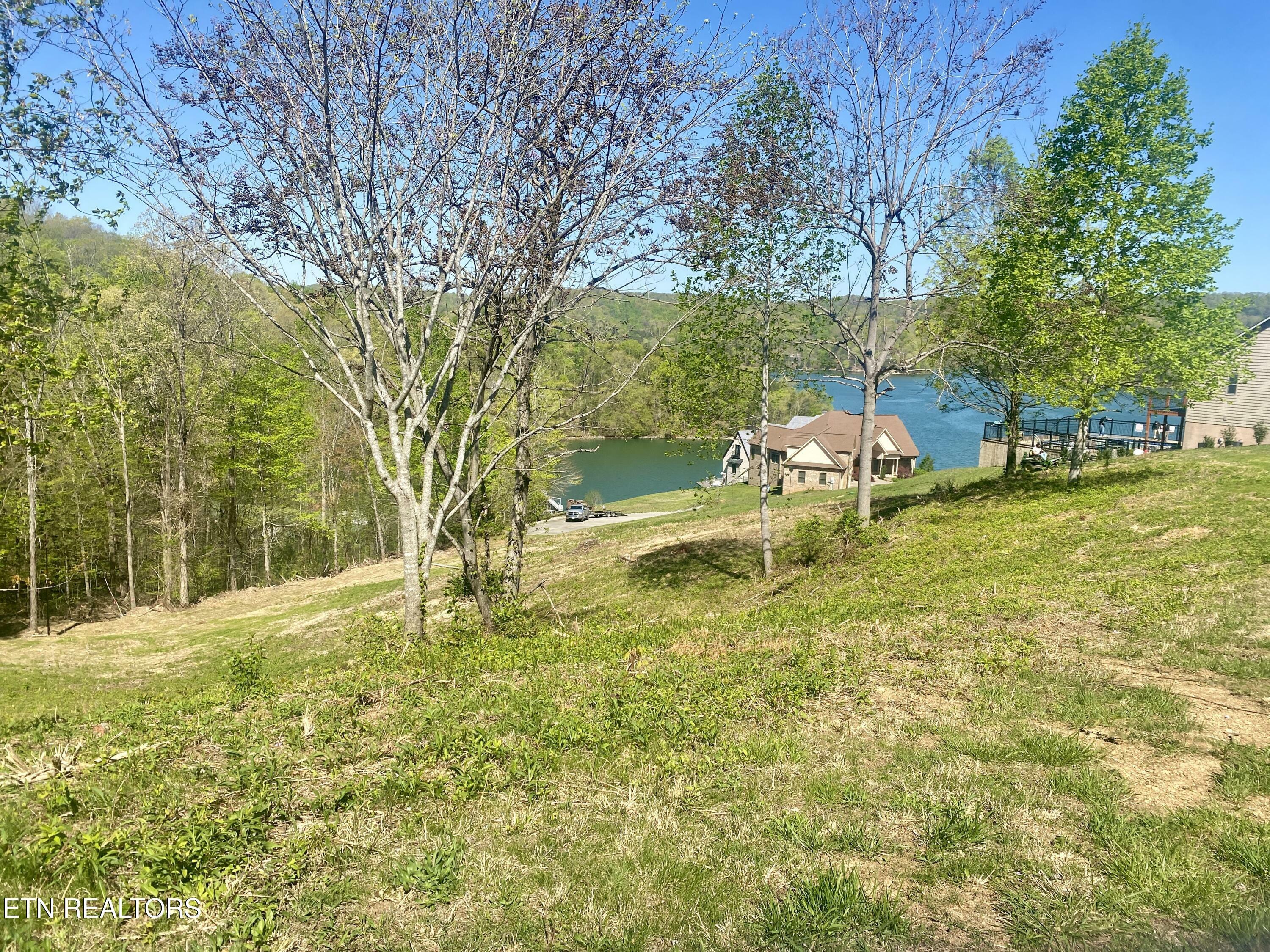 Property Photo: Lot #130 Hickory Pointe Lane TN 37807